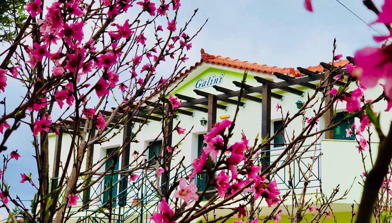 Galini Apartments 트라페자키 외부 사진